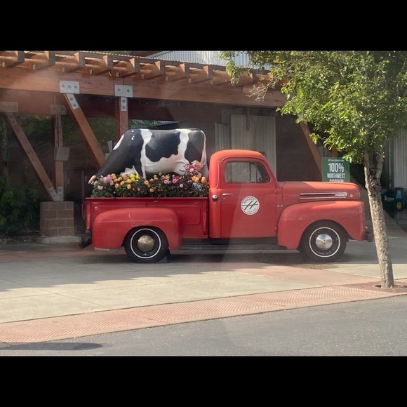 Meet your Posher, Zanna - Picture 1 of 1